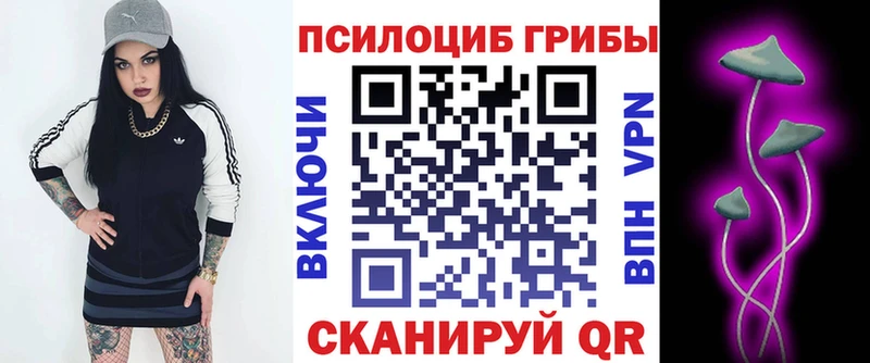 купить наркотик  Кудымкар  Псилоцибиновые грибы прущие грибы 